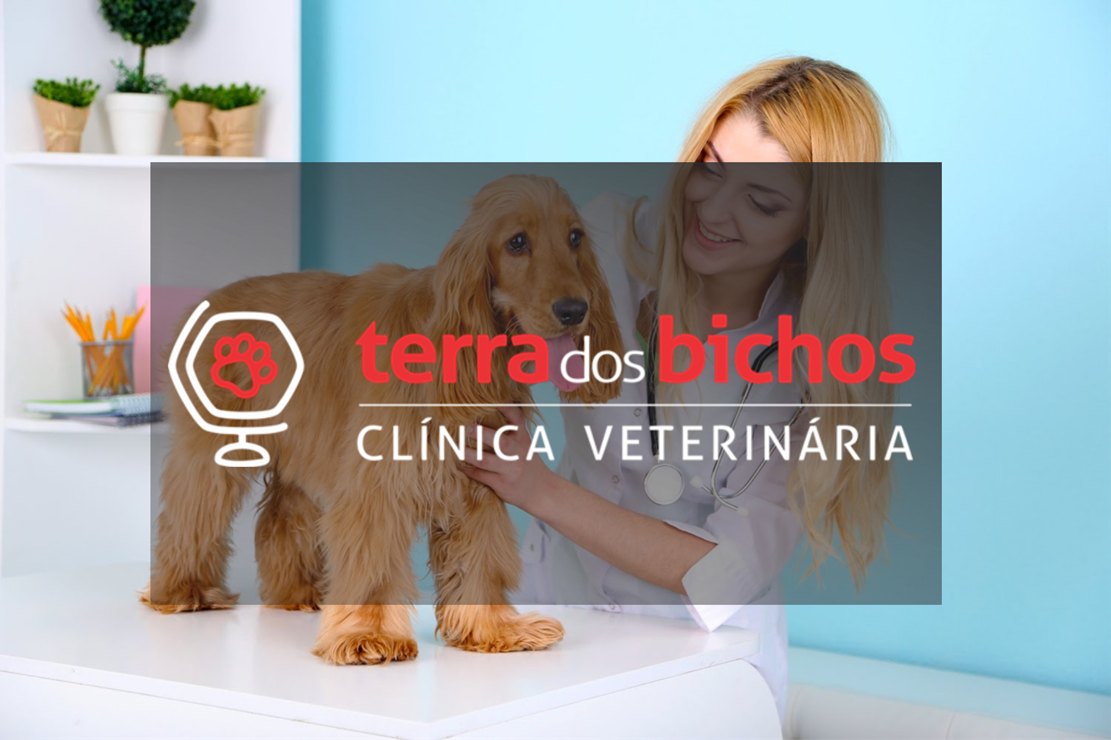 terradosbichos